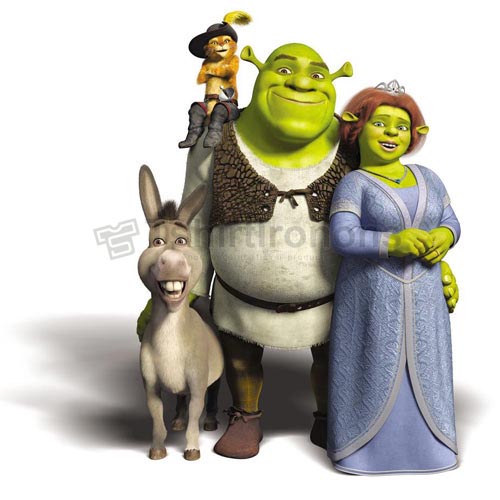 Shrek T-shirts Iron On Transfers N5301 - Click Image to Close